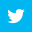 twitter-icon